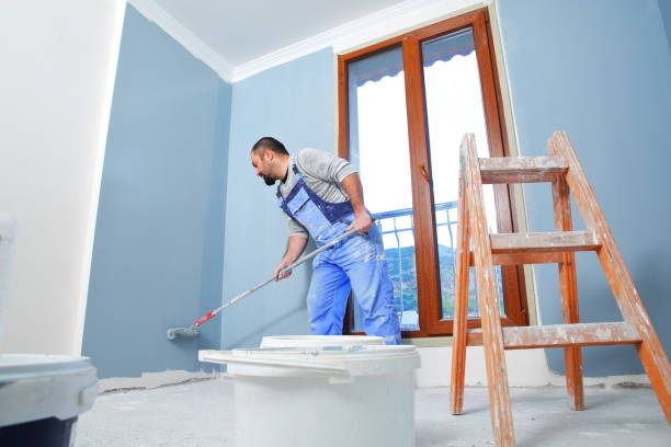 Reliable Kingston, NJ Mold Removal Solutions