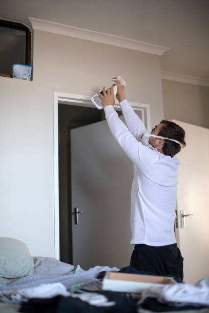 Best Water Damage & Mold Remediation  in Kingston, NJ