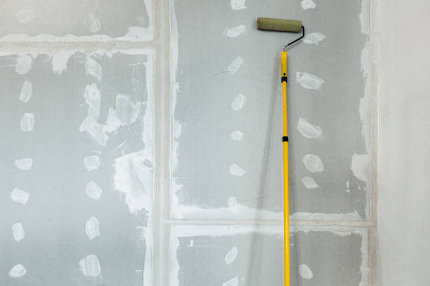 Mold Removal for HVAC Installations in Kingston, NJ