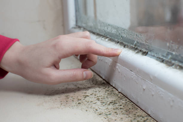 Asbestos and Lead Testing During Mold Inspection in Kingston, NJ