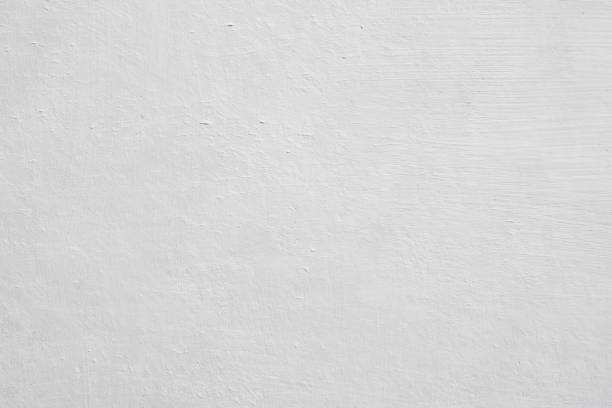 Environmental Consulting for Mold Prevention in Kingston, NJ