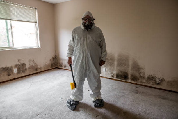 Best Residential Mold Inspection & Testing  in Kingston, NJ